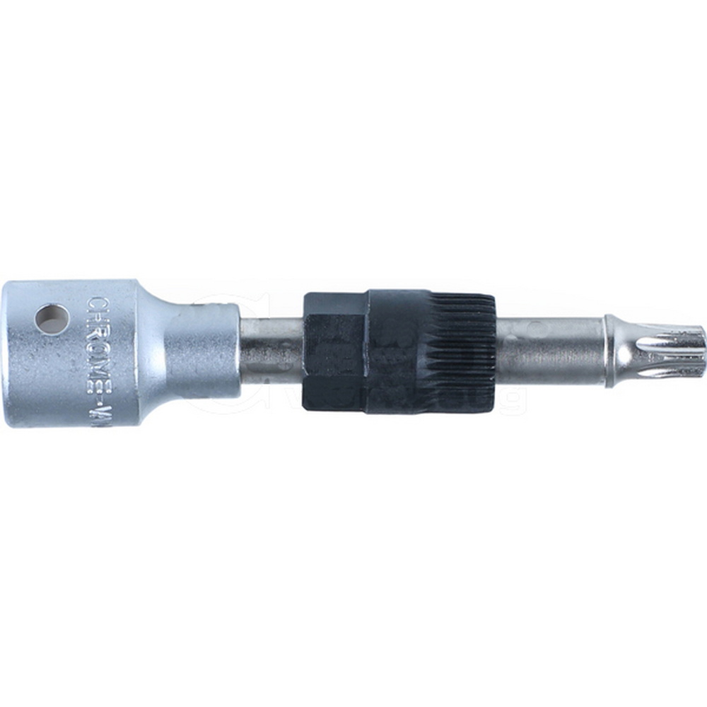 Lichtmaschinen-Einsatz, 1/2", 33 Zahn-Einsatz, T50